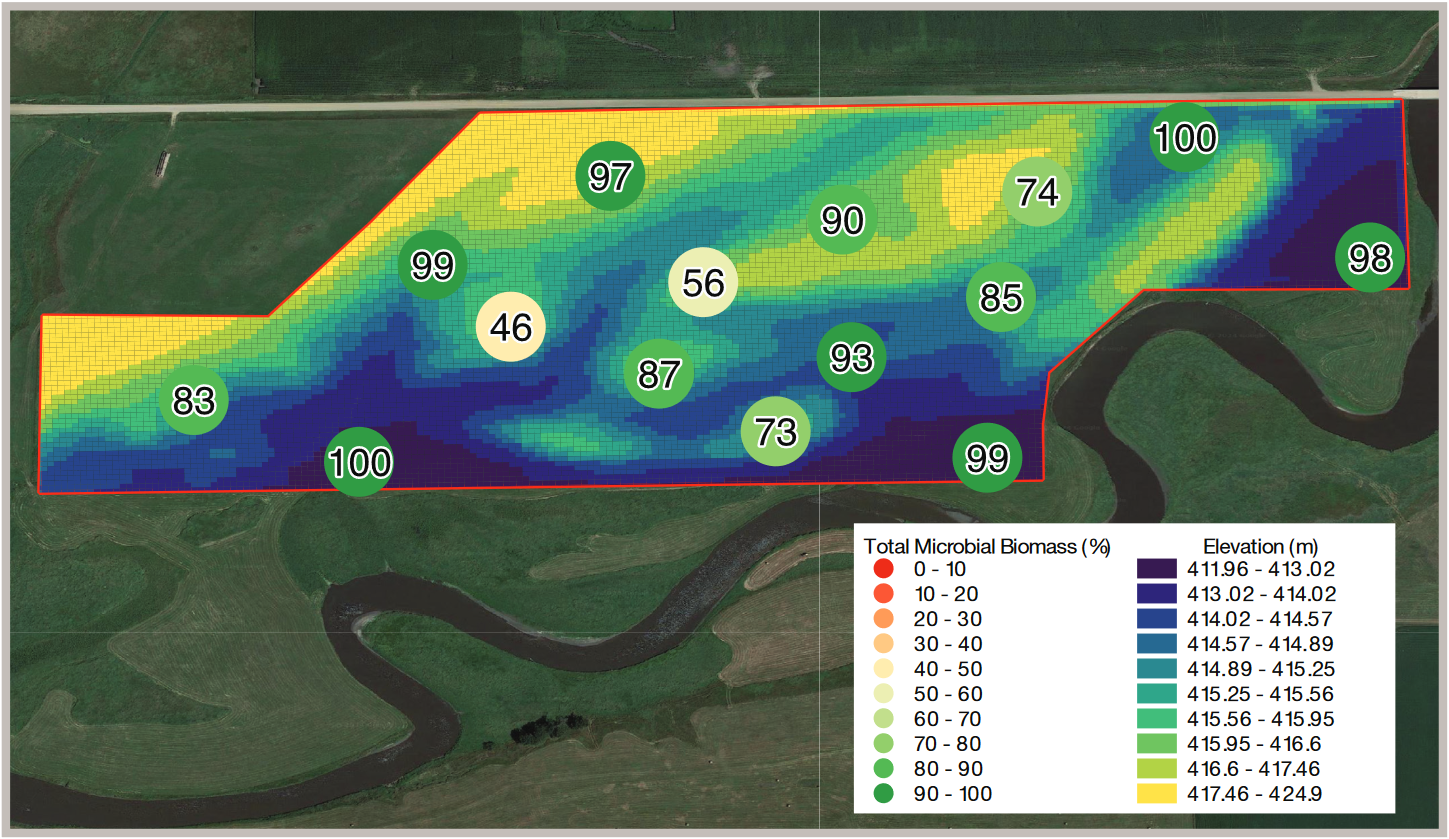 Topography can drive patterns in soil biology