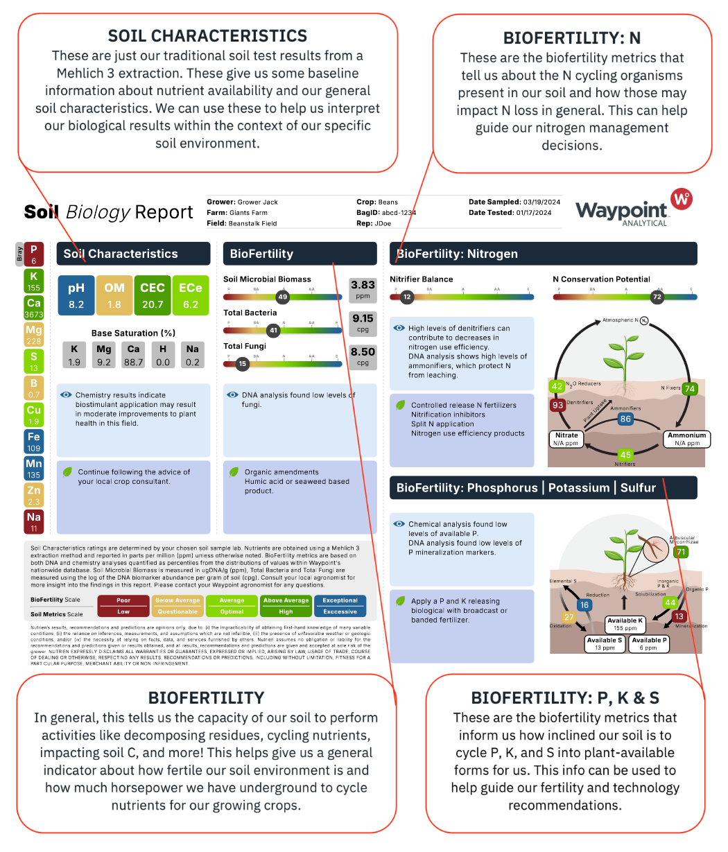 Example Soil Biology Report